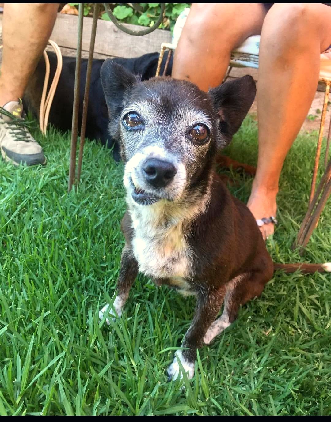 A chance encounter on a chilly day changed two lives forever