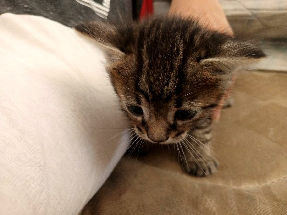 This adorable puppy photo of Gary will melt your heart instantly