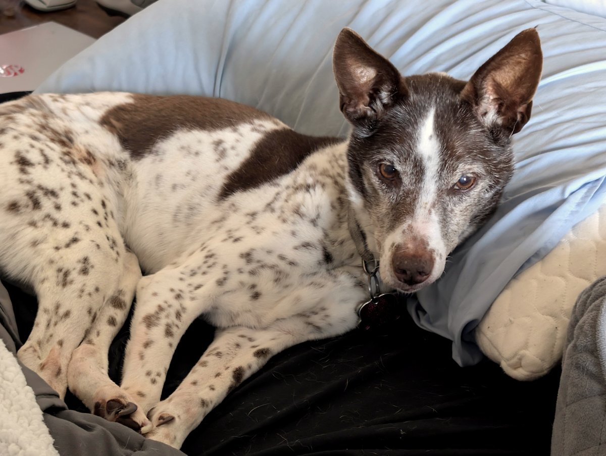 Discover the touching journey behind this woman's cozy pillow moment