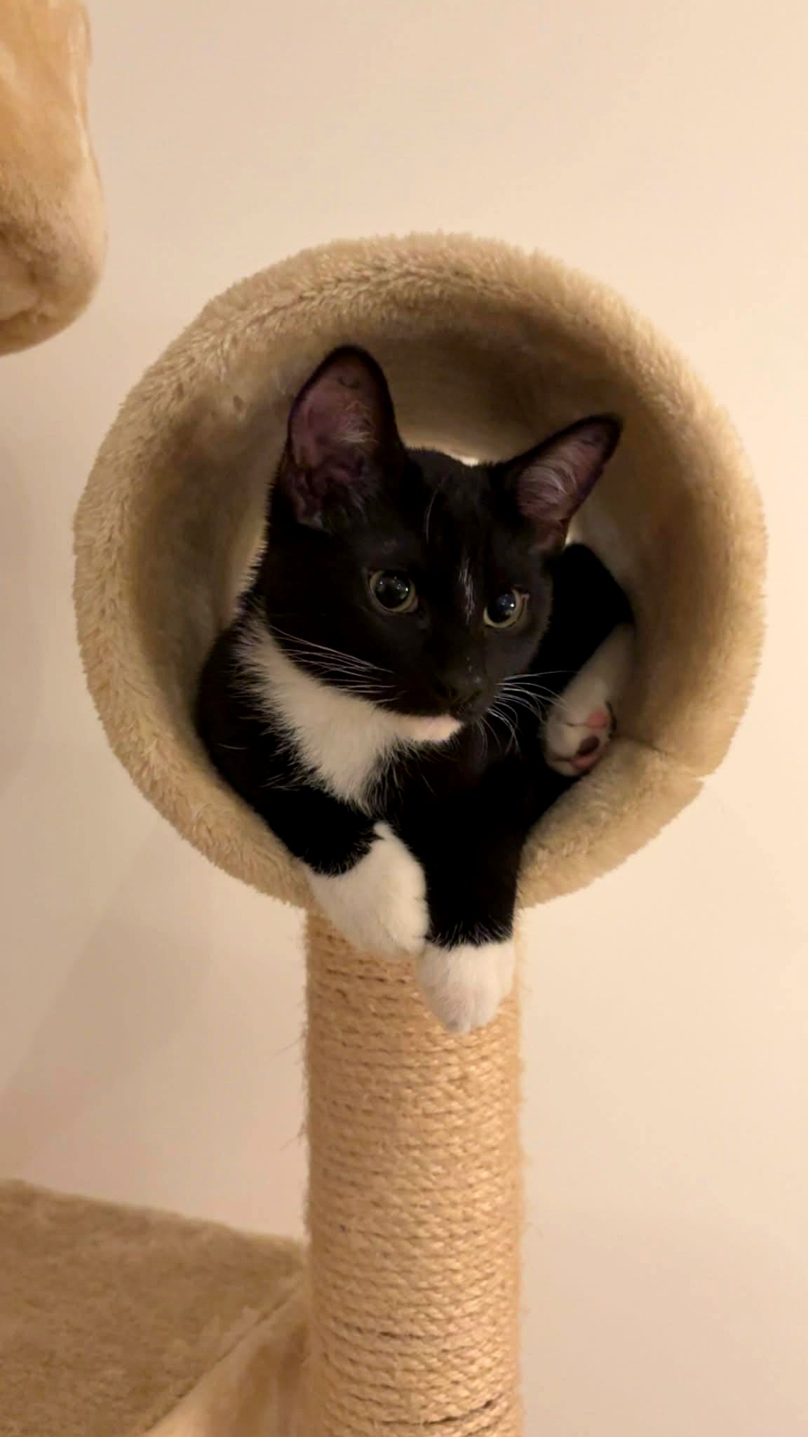 A surprising moment that will make you believe in small joys again