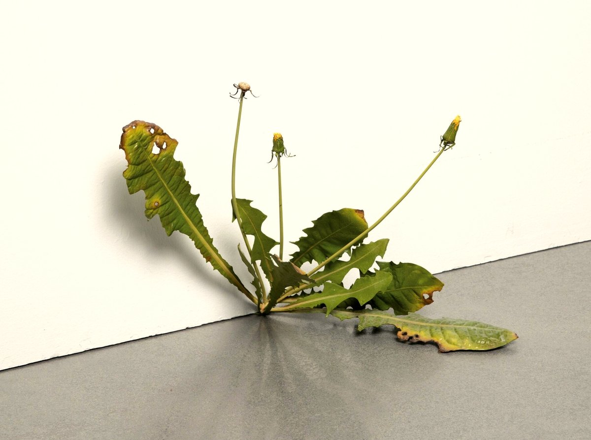 This incredible sculpture of a weed will change how you see art forever