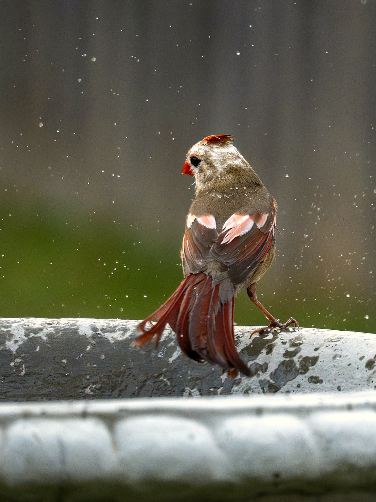 Watch this girl transform the park into a scene from her favorite anime