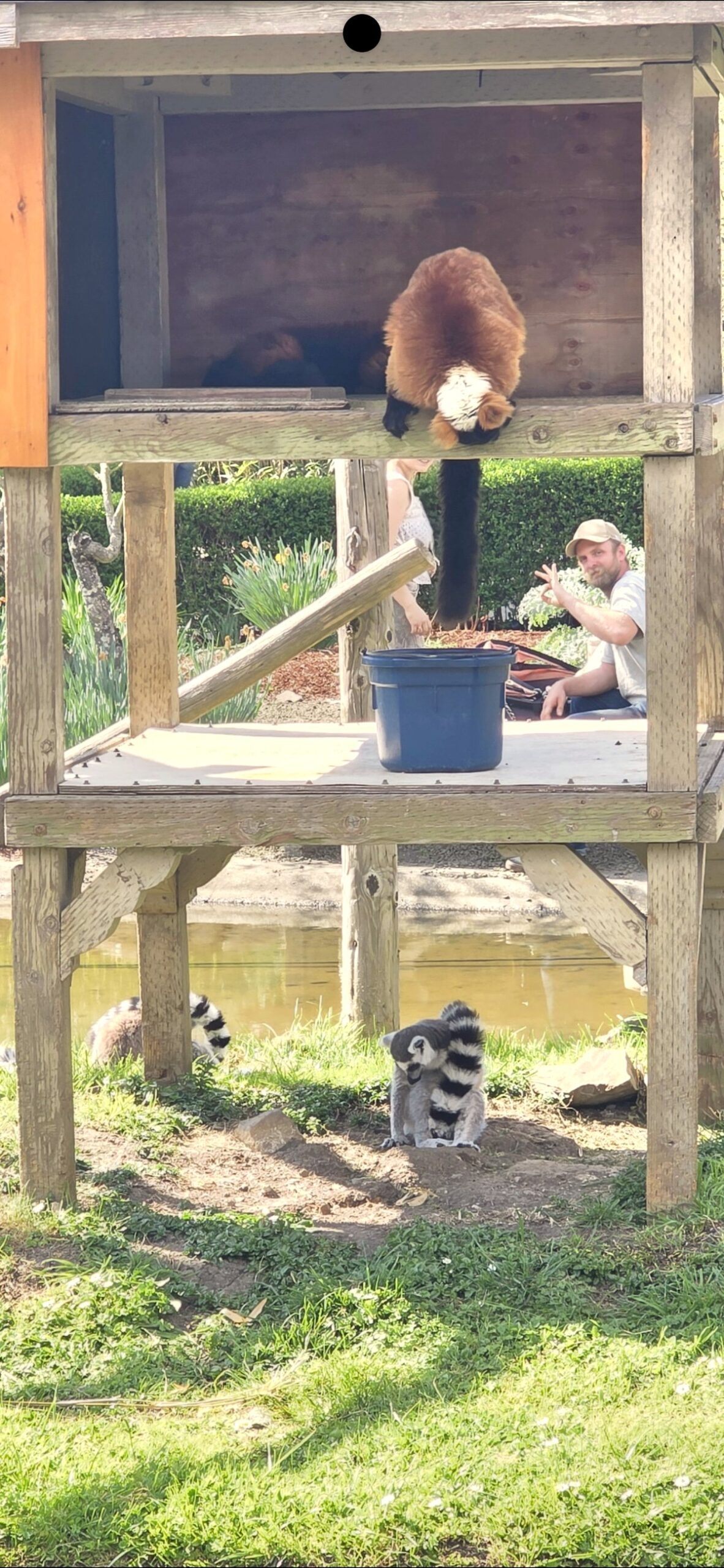 A moment at the wildlife exhibit that took my breath away