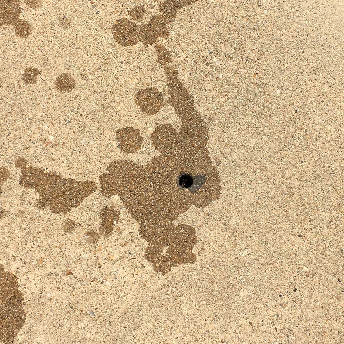 How a simple accident turned into an artistic masterpiece by the pool