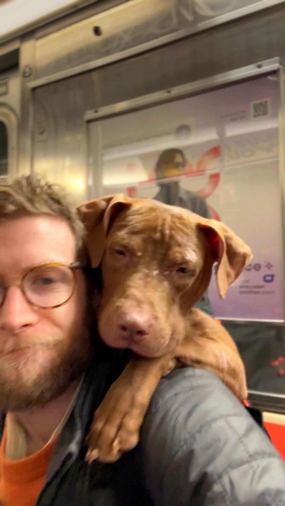 Meet the dog backpack that’s changing lives for shelter pups in New York