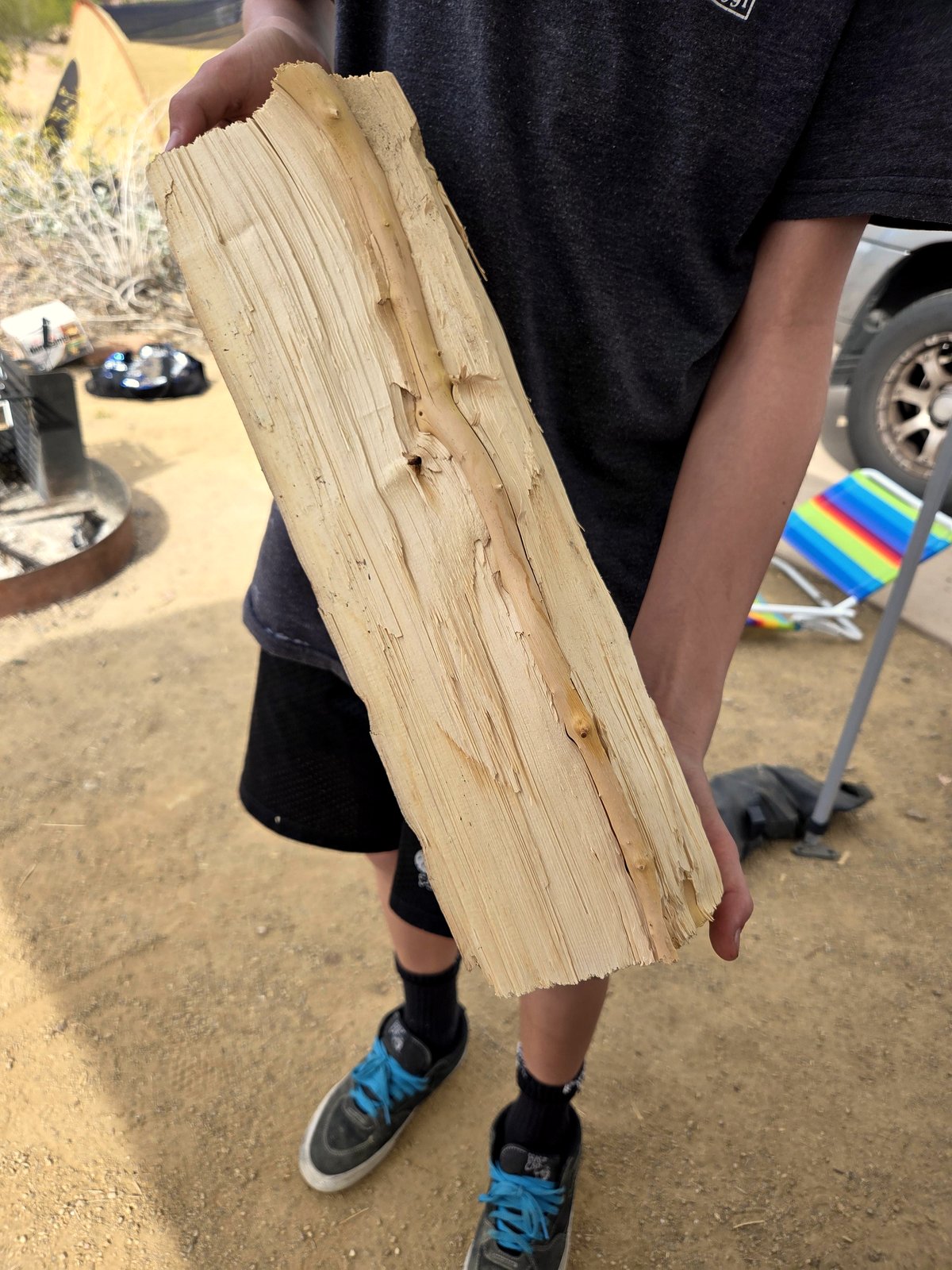 A young boy discovers an incredible secret while chopping wood in the forest