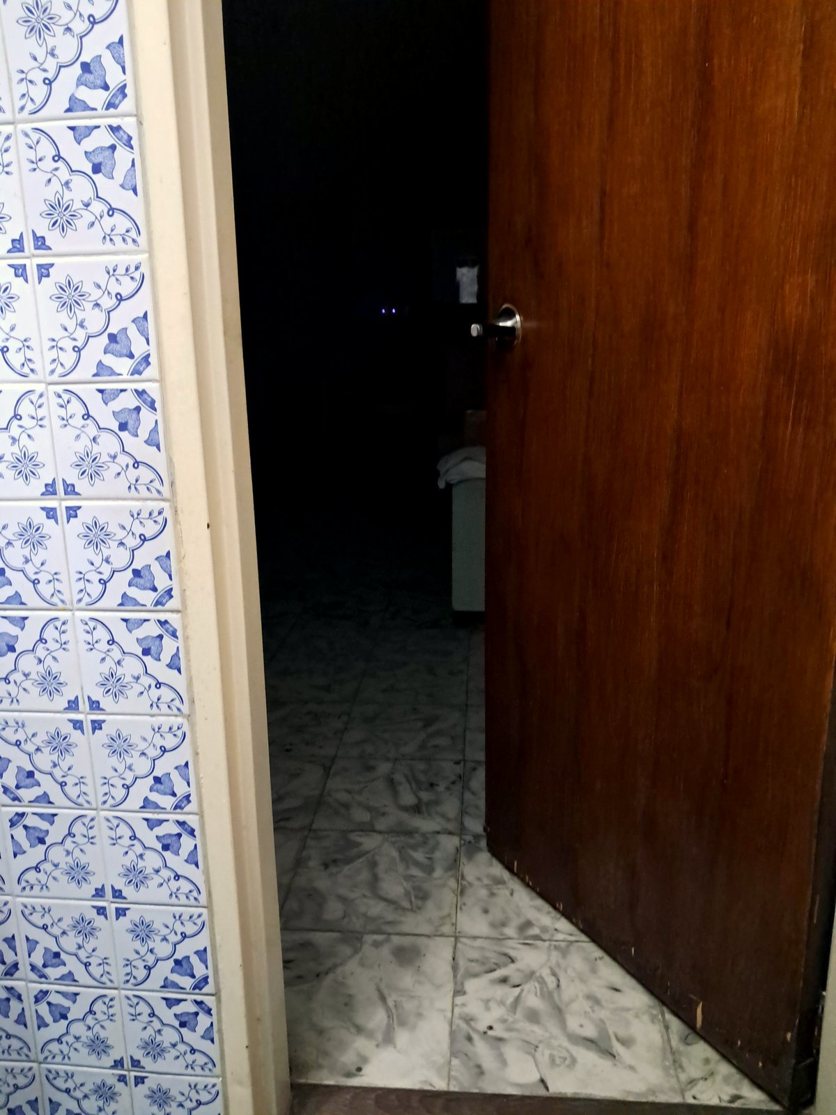 A dim room, two glowing eyes: what Mia discovered when she returned home