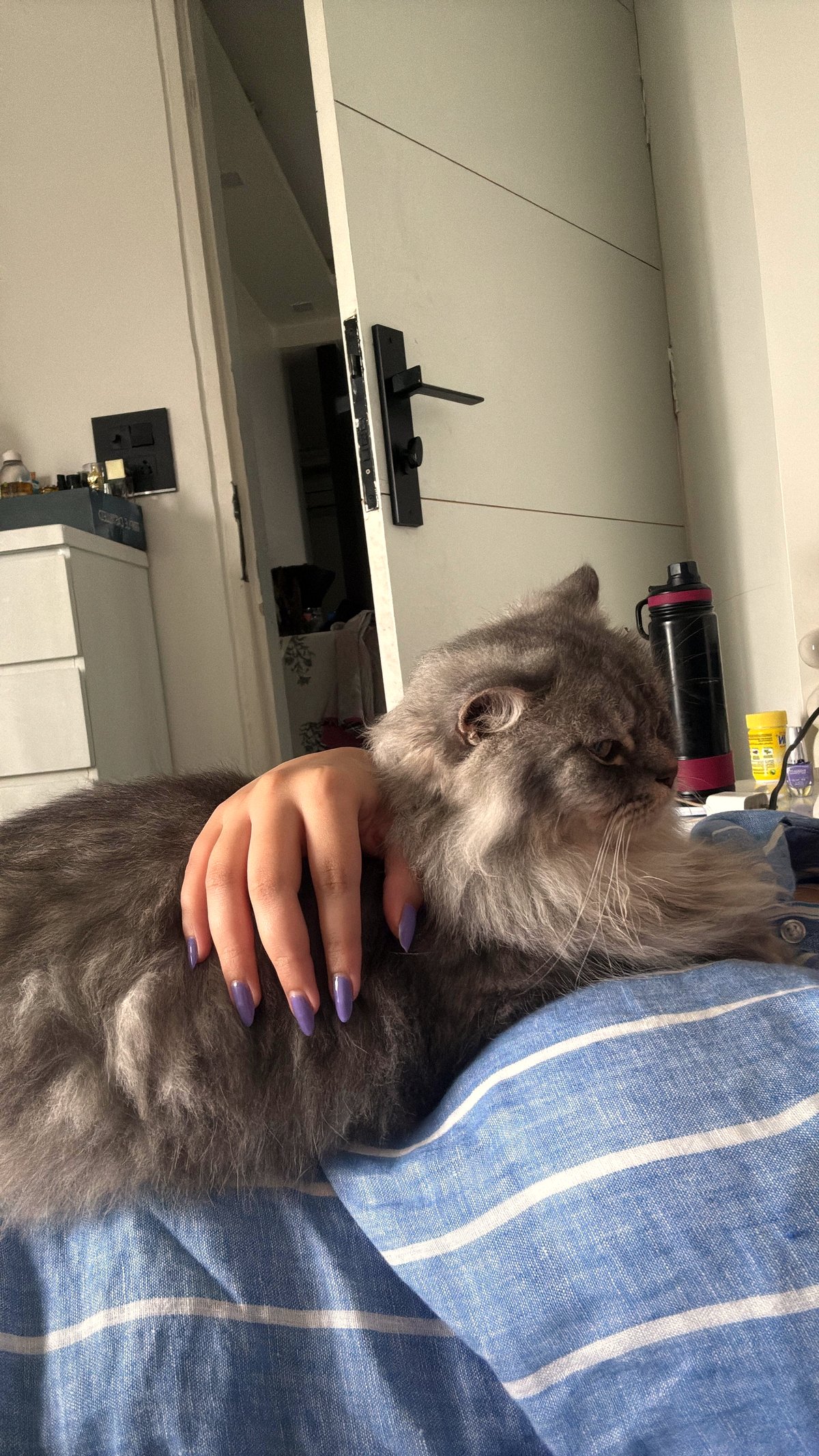 The moment that made me cancel everything for this fluffy surprise