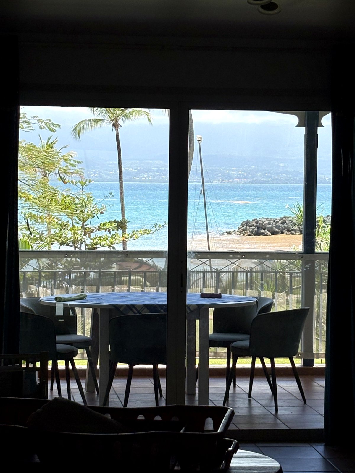 Sargassum visible from my kitchen. Windows can’t be opened because of the odor.