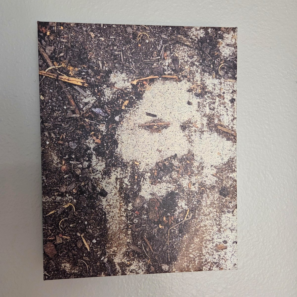 Topsoil in my backyard unintentionally formed a man's face on the sidewalk.