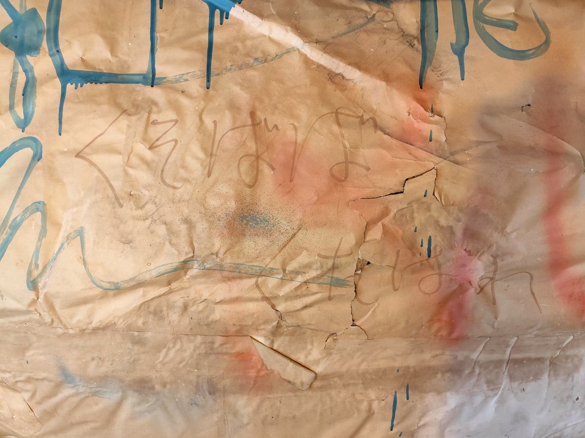 What we found behind the wall in our old Japanese home will leave you stunned