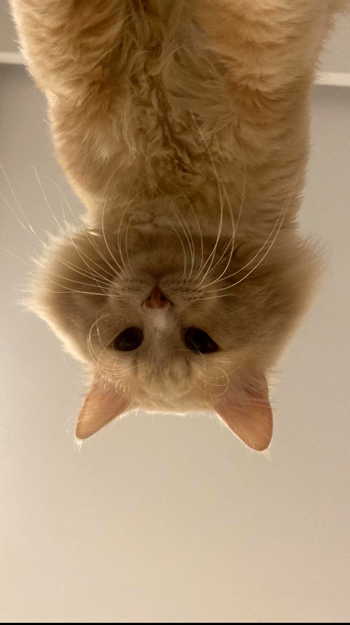 A gloomy day turned bright with one heartwarming moment