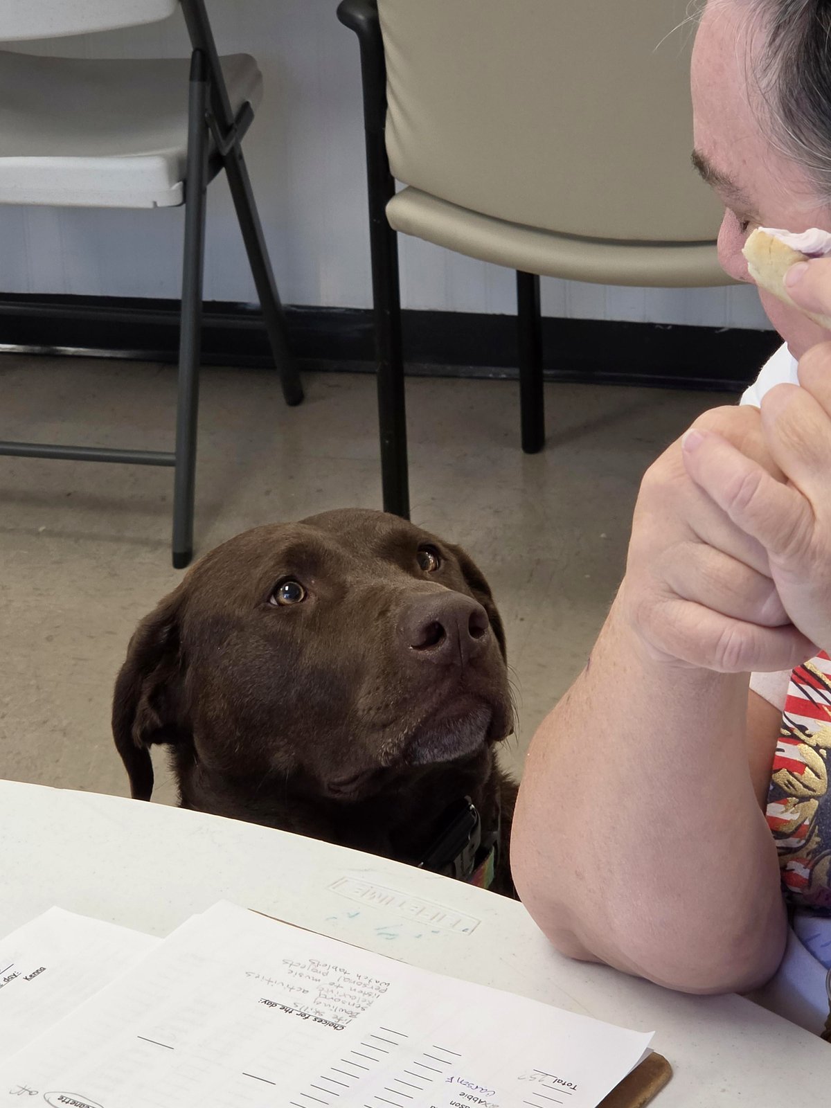 Watch what happens when a service dog spots the bagel of his dreams