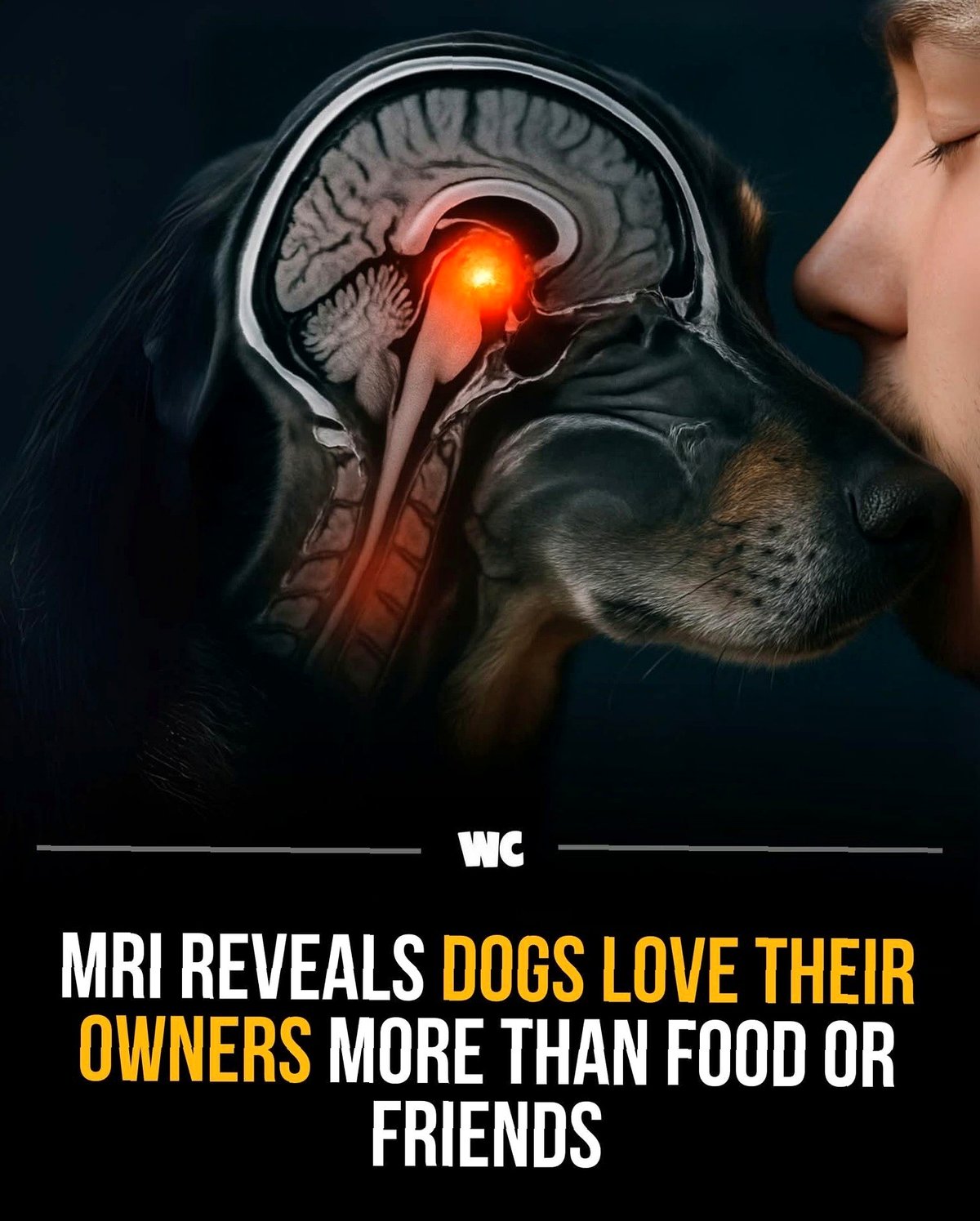 What scientists discovered with MRI will leave you speechless