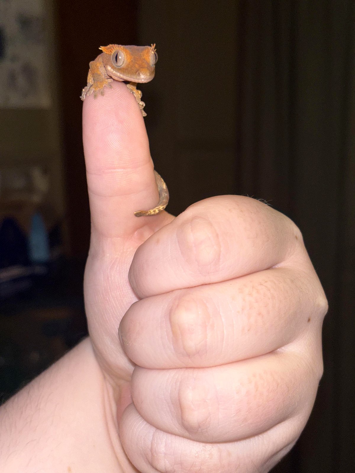 A little boy's thumbs-up is spreading joy worldwide