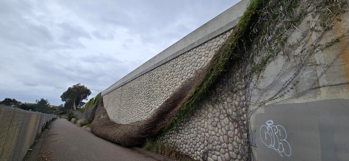 What the wind revealed on a quiet Saturday will leave you speechless