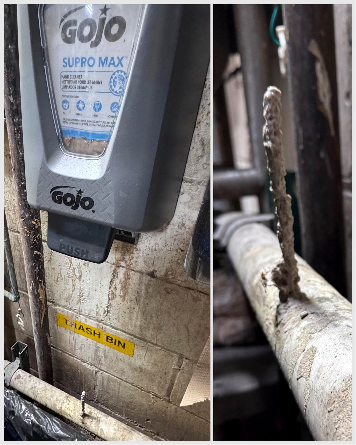 This tiny office leak is turning into an unexpected wonder