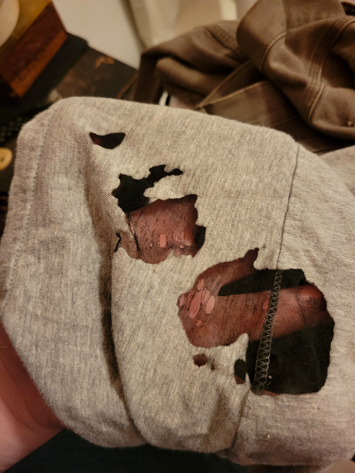 A shocking discovery in my closet left my favorite shirt in tatters