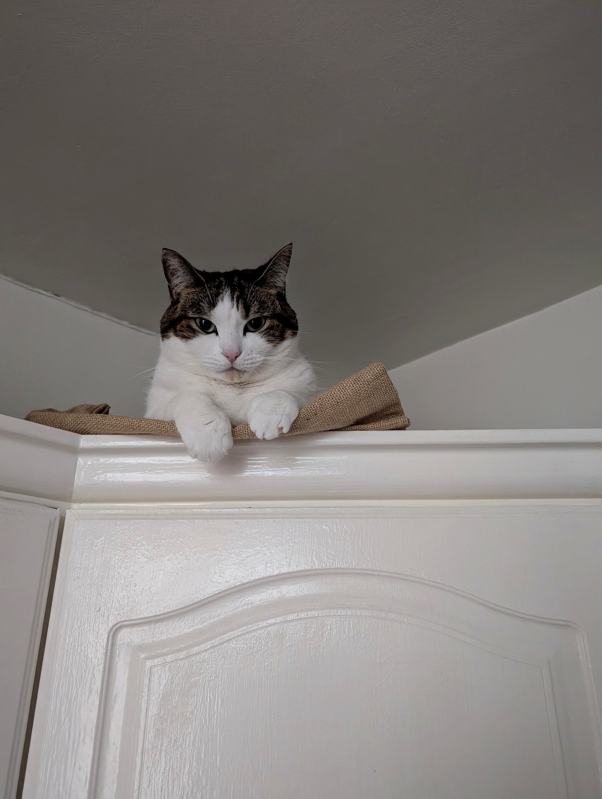 Meet Oliver: the boy whose chin tells a story of pride and friendship