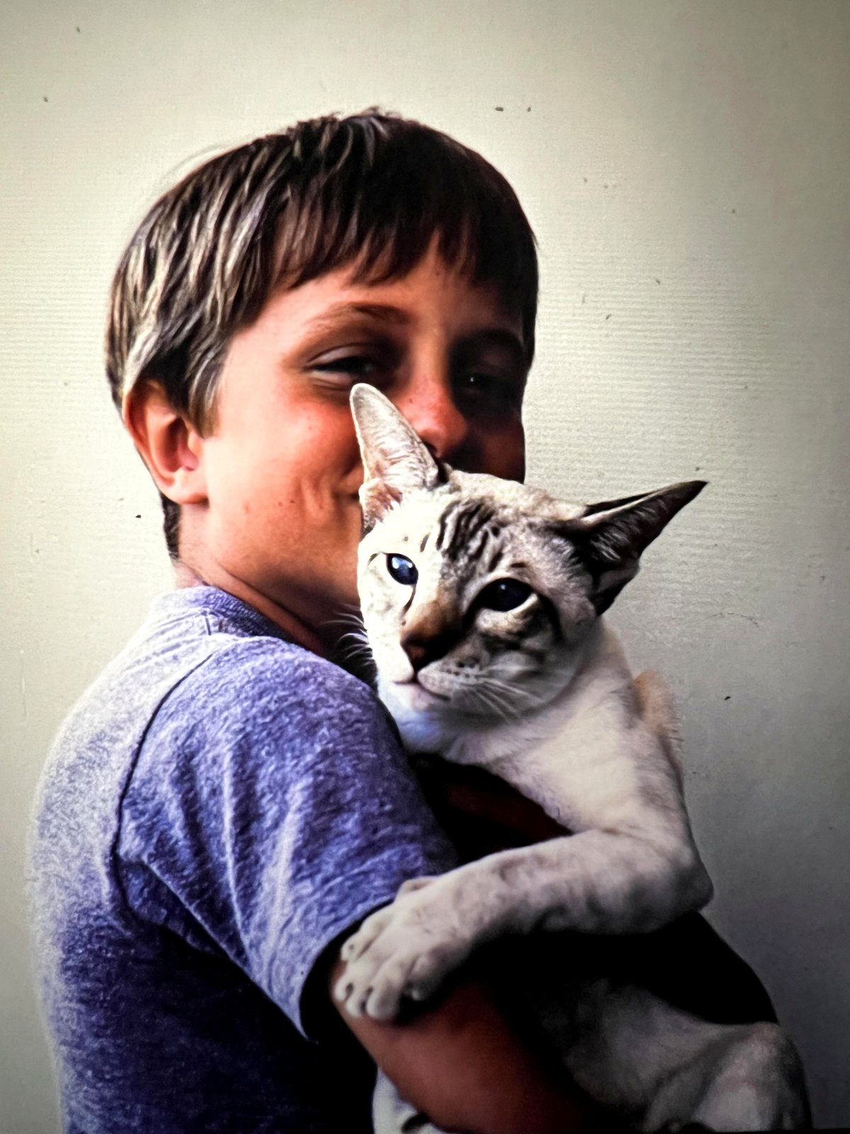 A heartwarming journey with my cat Dutch that lasted 21 unforgettable years