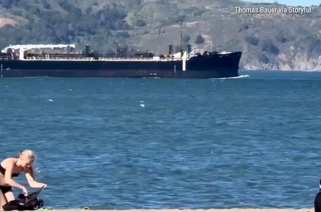 A windsurfer's shocking encounter with a giant gray whale in the bay