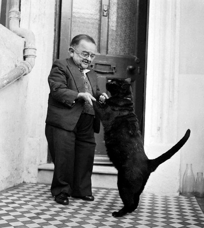 Discover the heartwarming dance between a little man and his cherished cat