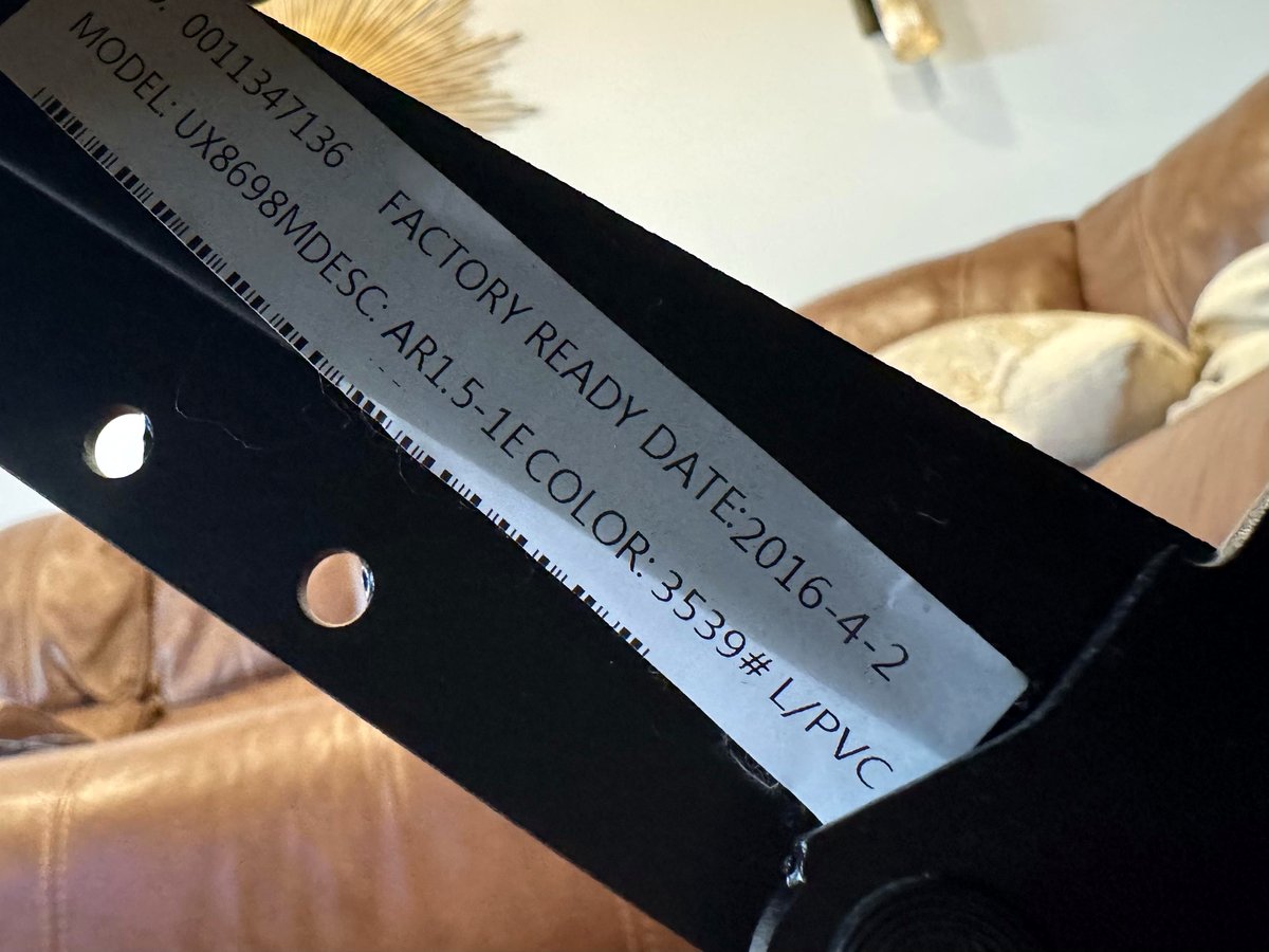 You won’t believe what I uncovered while searching for my dog’s lost toy