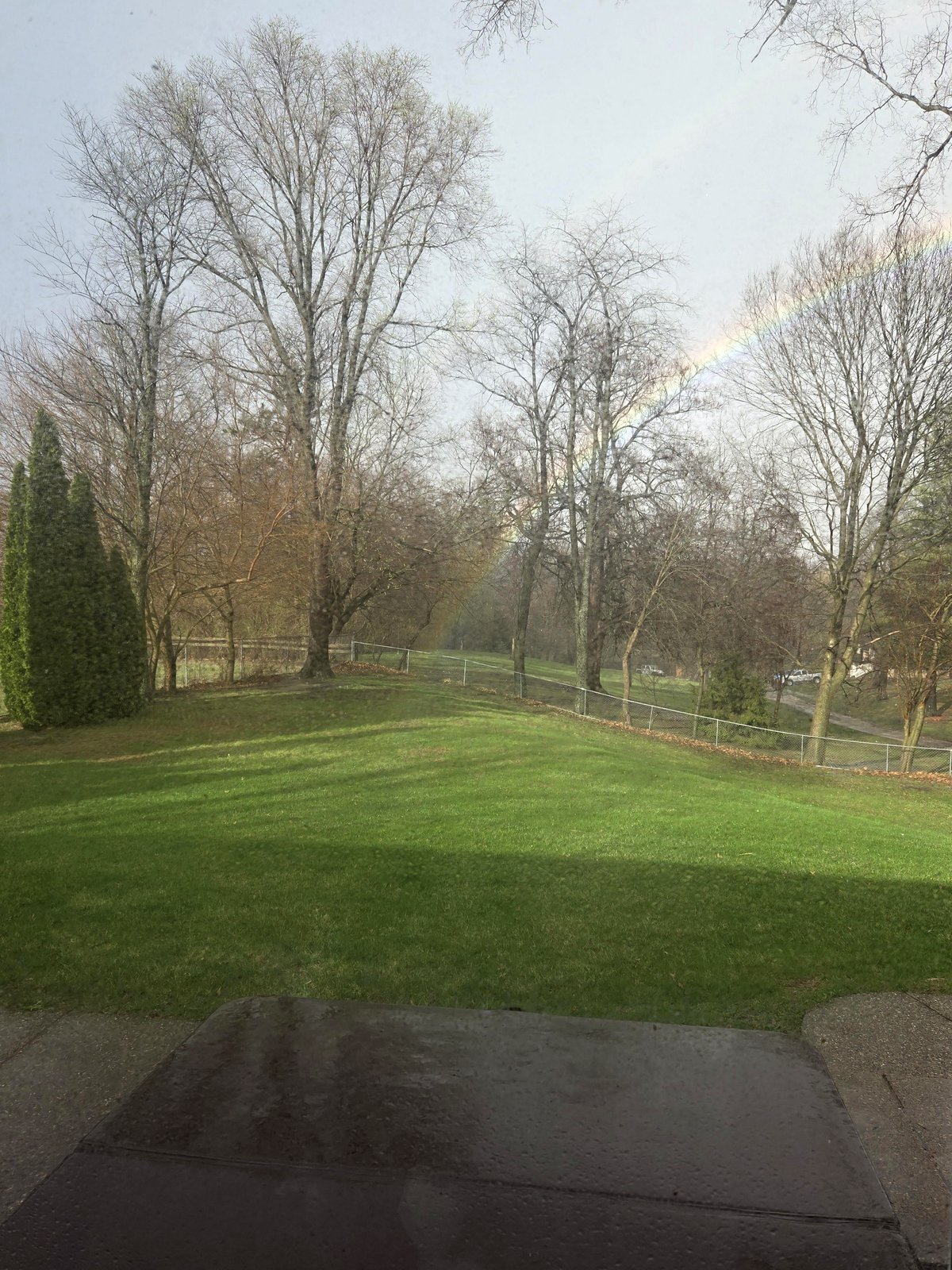 The end of a rainbow landed in my parents’ backyard and it’s magical
