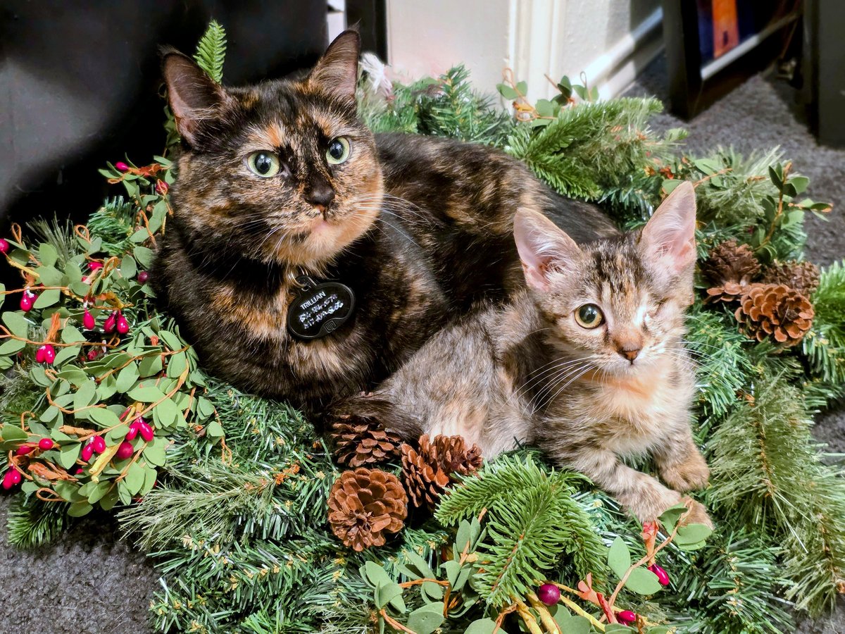 This heartwarming photo of two cuddling animals will melt your heart