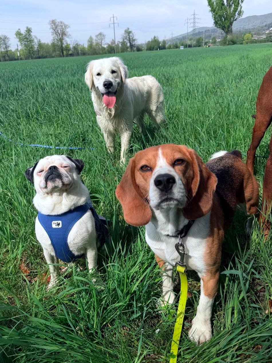 Discover the heartwarming moment when Carl and his buddies embrace joy together