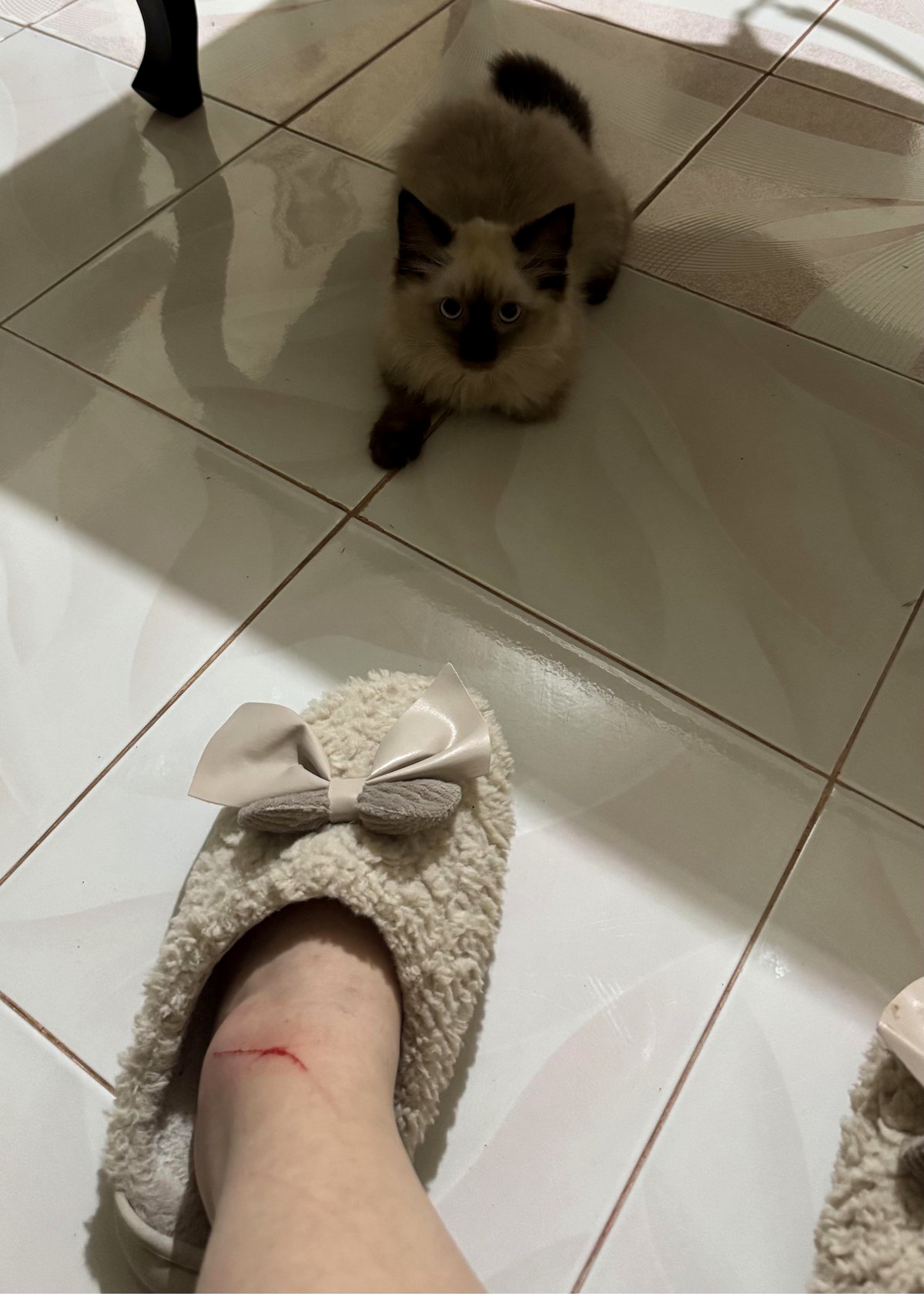 She came home to a heartwarming gift from her furry friend