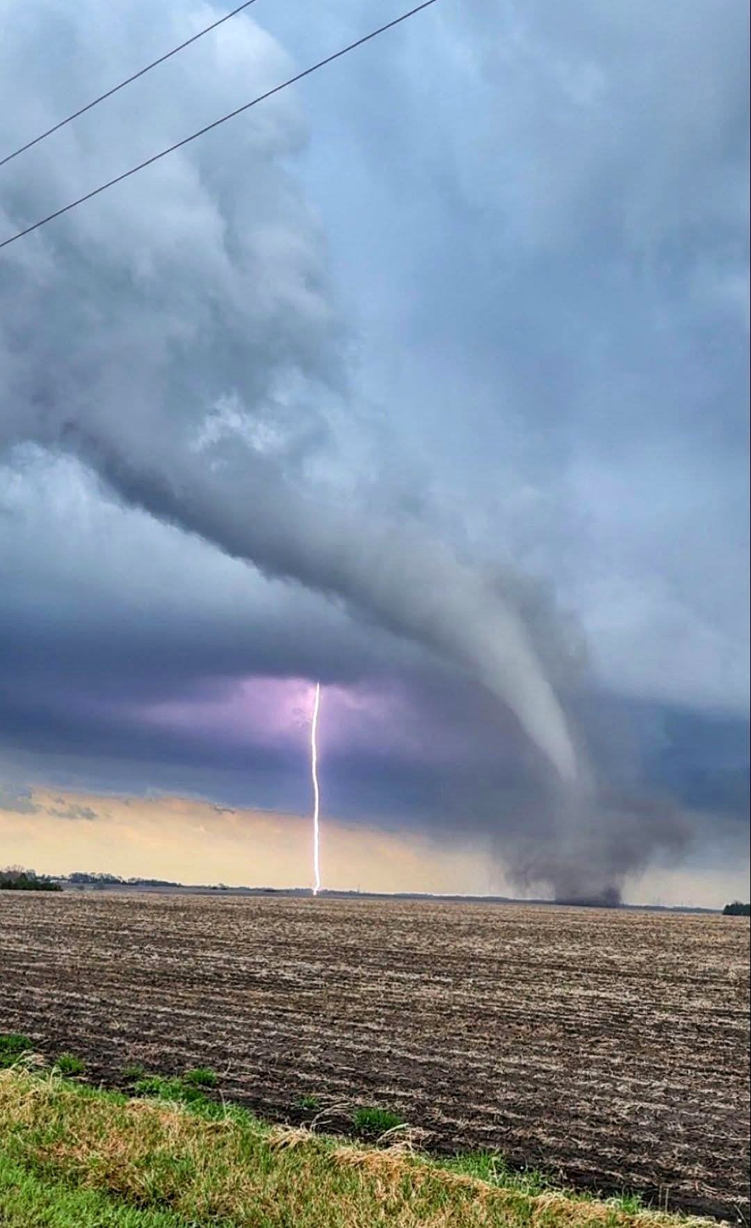 How a Rainy Day in Oslo Revealed Unexpected Wonders of Nature