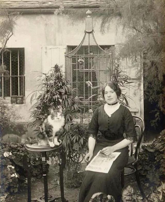 In a Time of Change, This Parisian Woman Found Joy in Her Garden and Cat