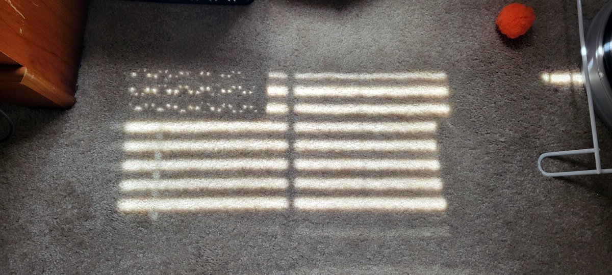 How a waste bin turned into a symbol of America right in my home