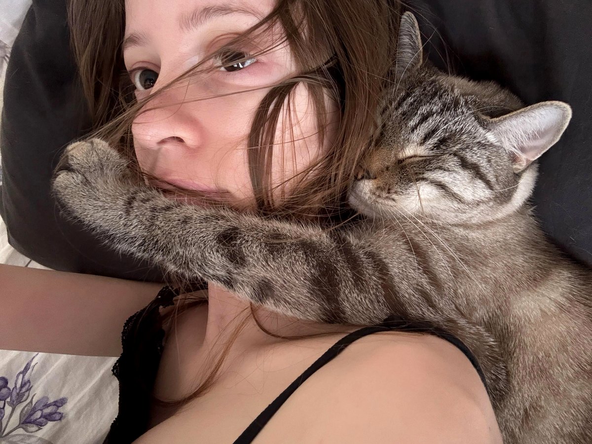 How my cat turned waking up into a daily adventure