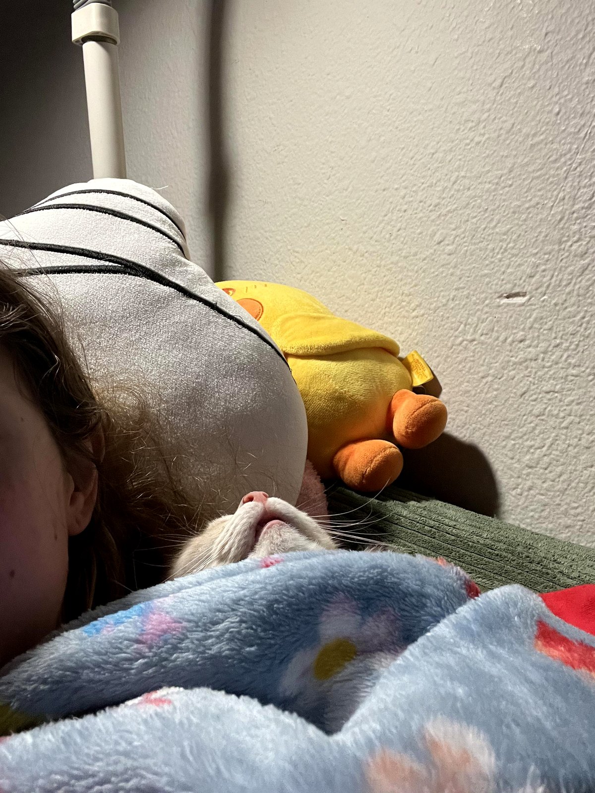 This Sweet Photo of a Sleepy Girl Will Melt Your Heart