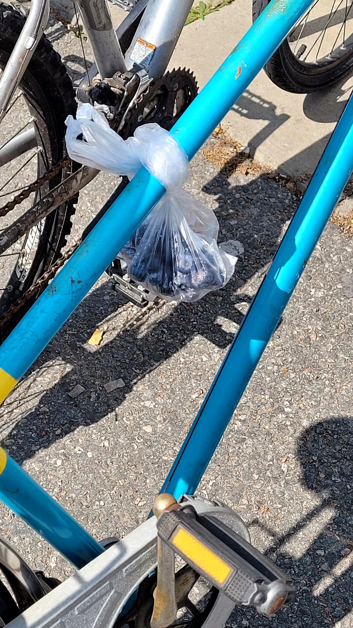 What I found tied to my bike left me speechless