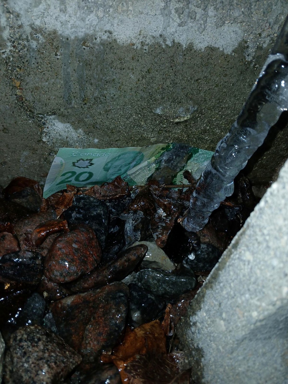 You won’t believe what my neighbor found stuck to my house this morning