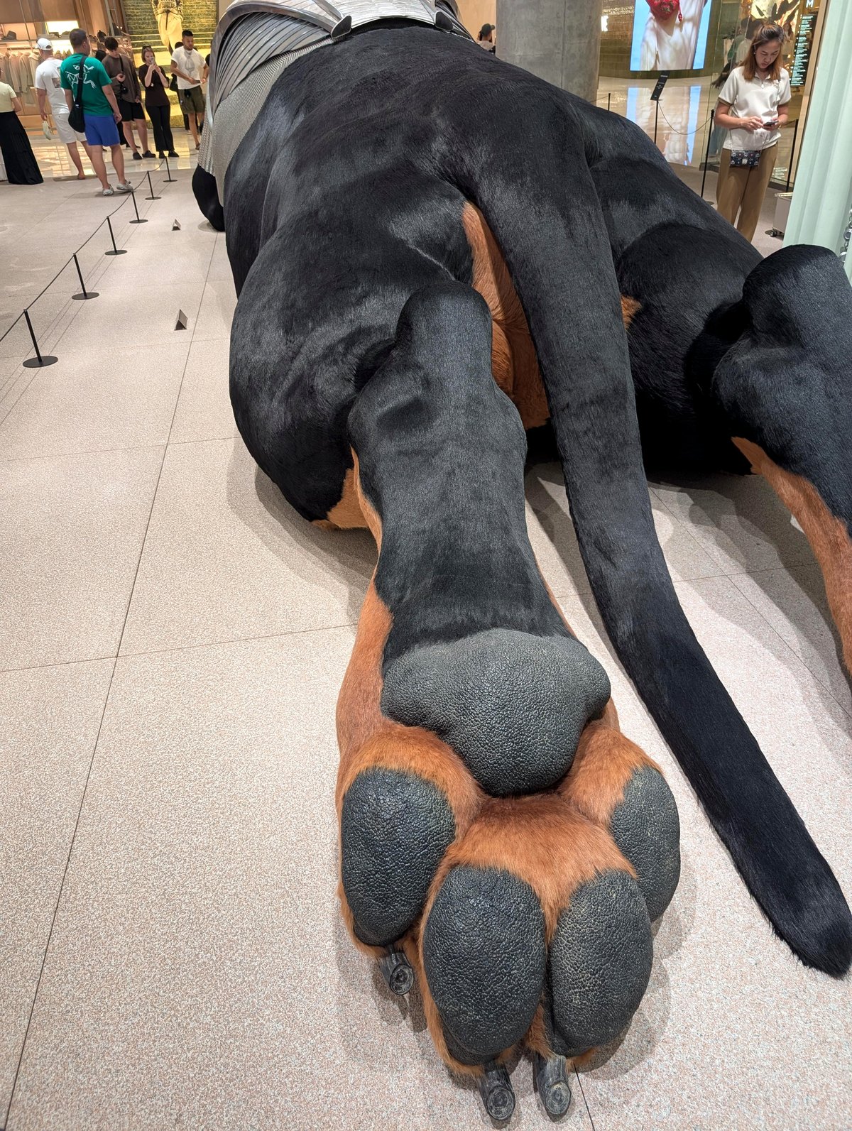 Discover the heartwarming moment that defines big dog energy