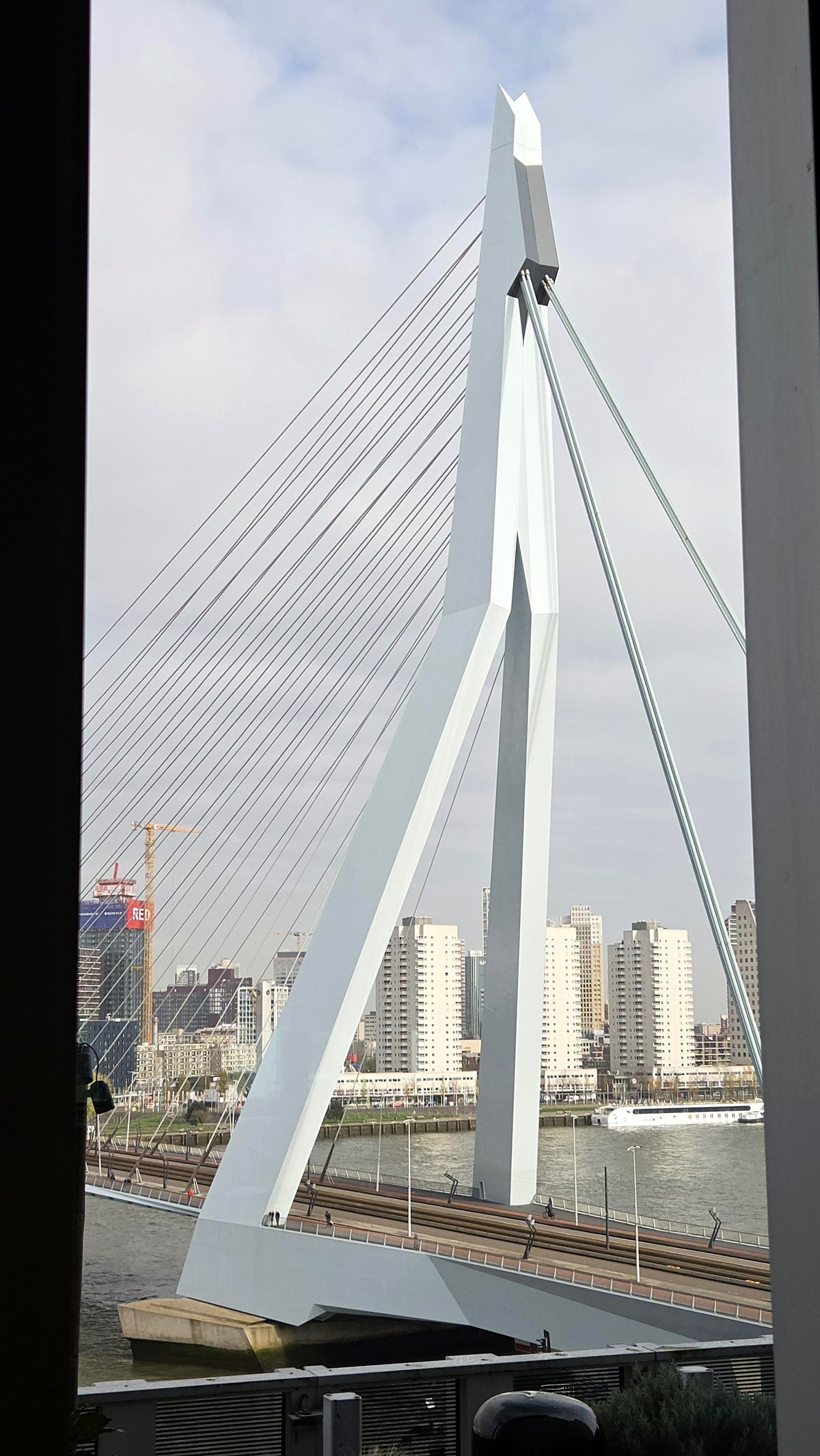you'll be amazed how small we look next to Rotterdam's stunning Erasmus Bridge