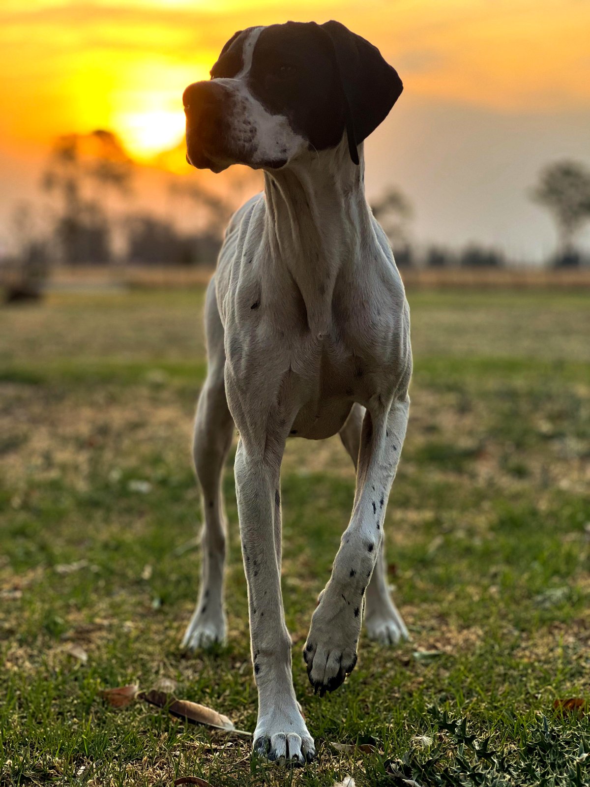 A simple photo that took my breath away on a sunny afternoon