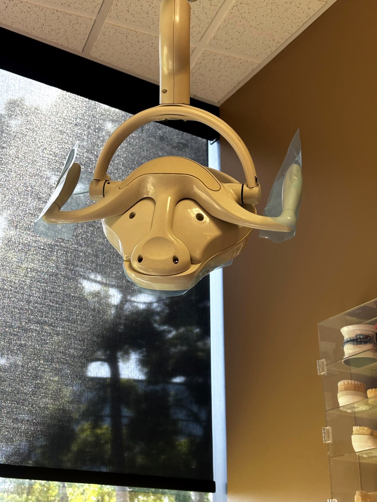 How a dental lamp turned into a hilarious African Ox lookalike