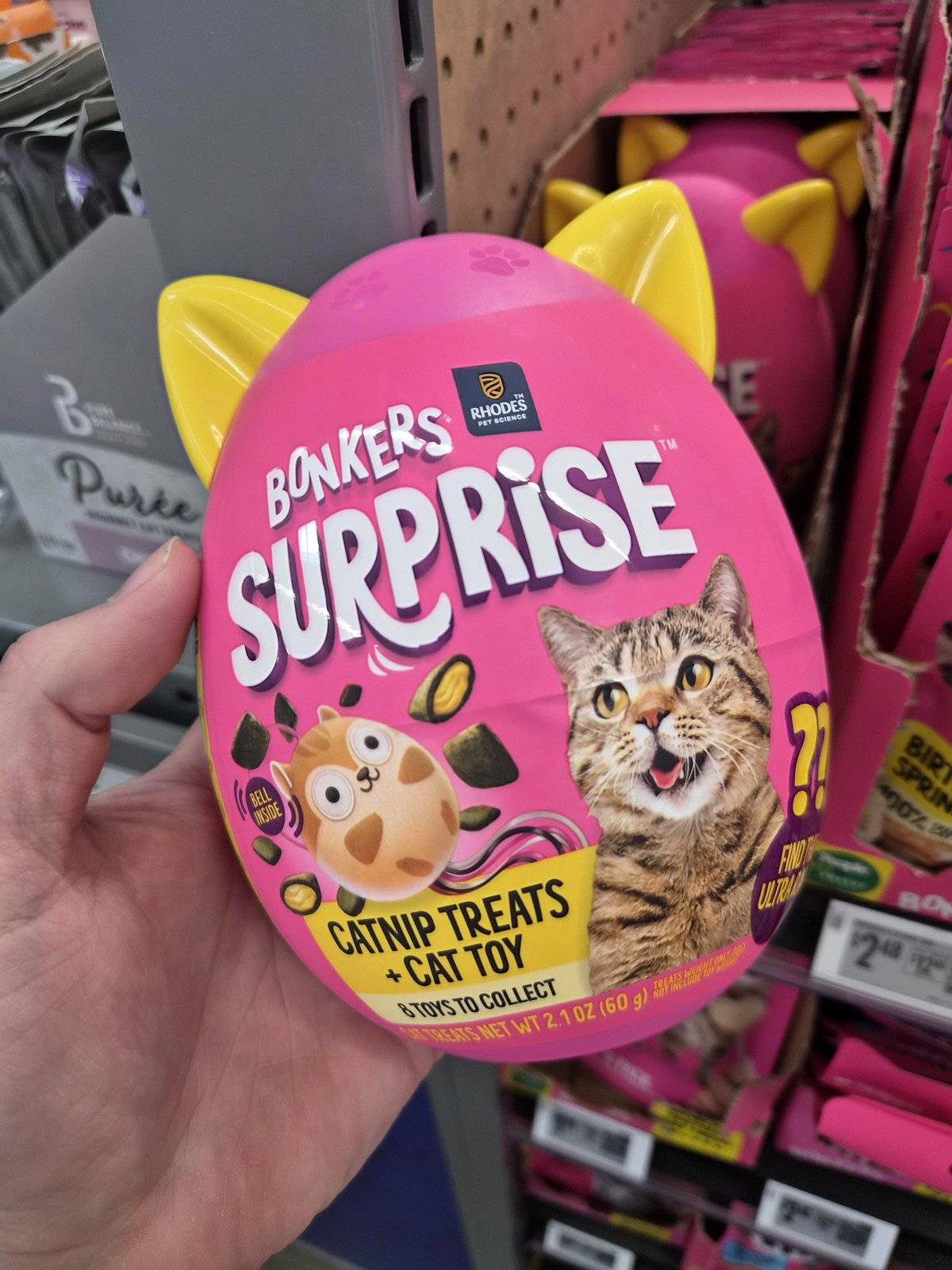 This new cat craze will make your day: the mystery box phenomenon