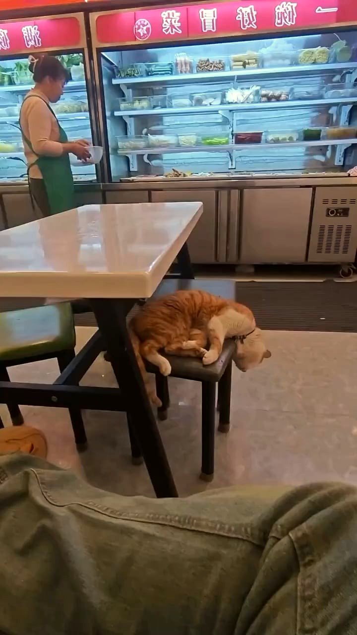 This cozy moment turned a chilly night into something magical