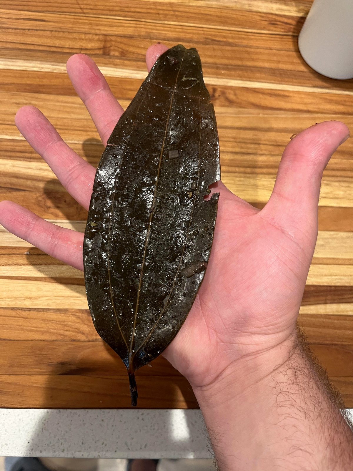 One tiny herb turned my dish into a family memory