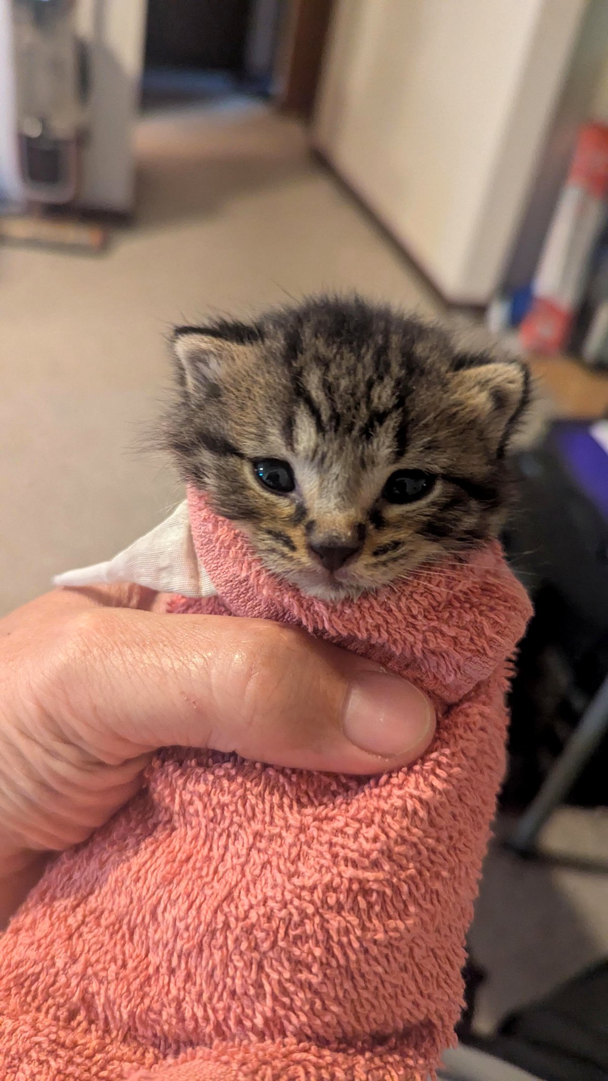 How a chance encounter outside my wife's job changed our lives forever