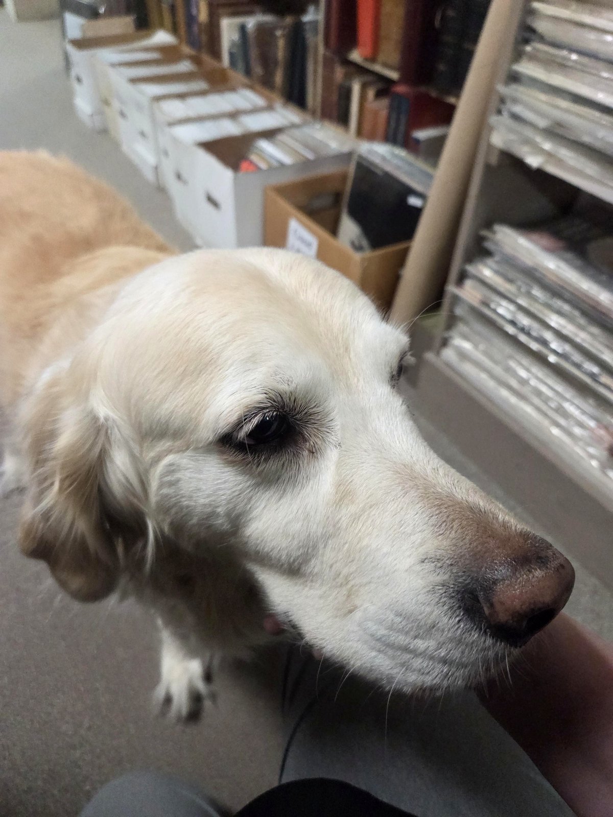 The heartwarming story of a used bookstore and its devoted staff