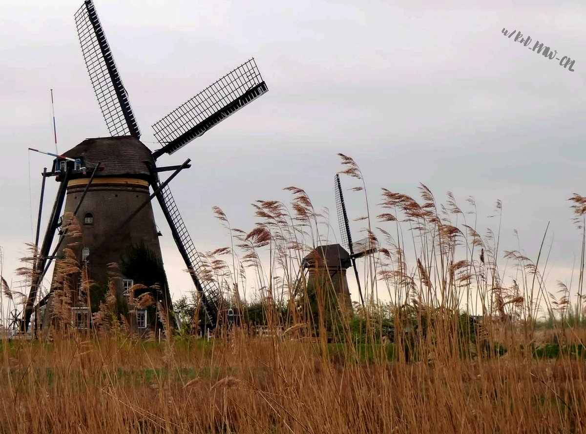 Why These Two Windmills Hold the Heart of the Netherlands' History