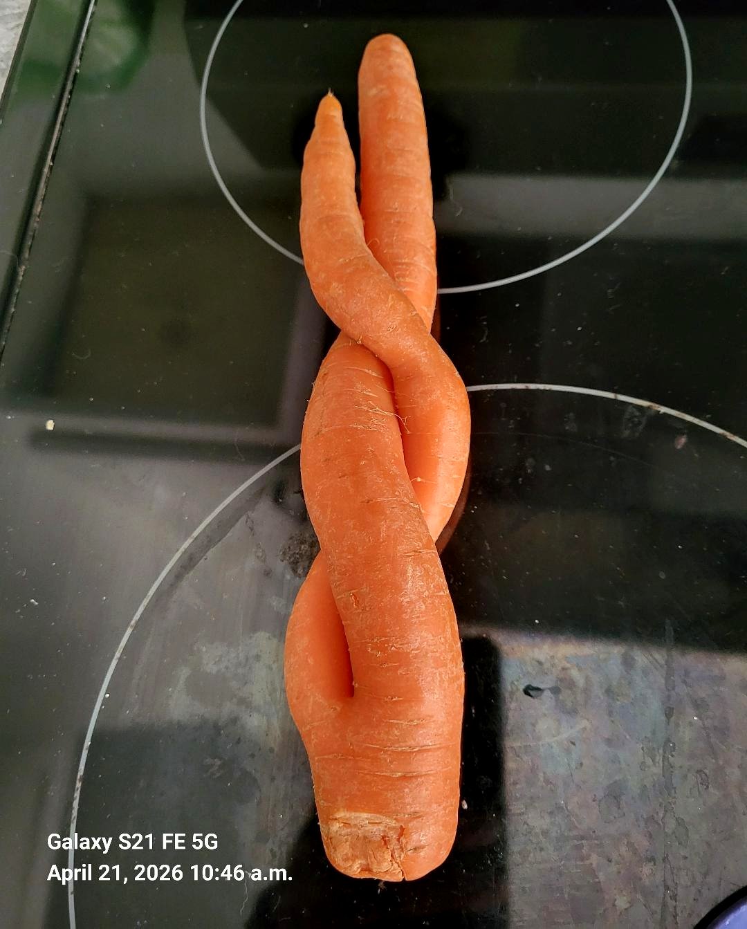 How a quirky bag of carrots changed my perspective on perfection