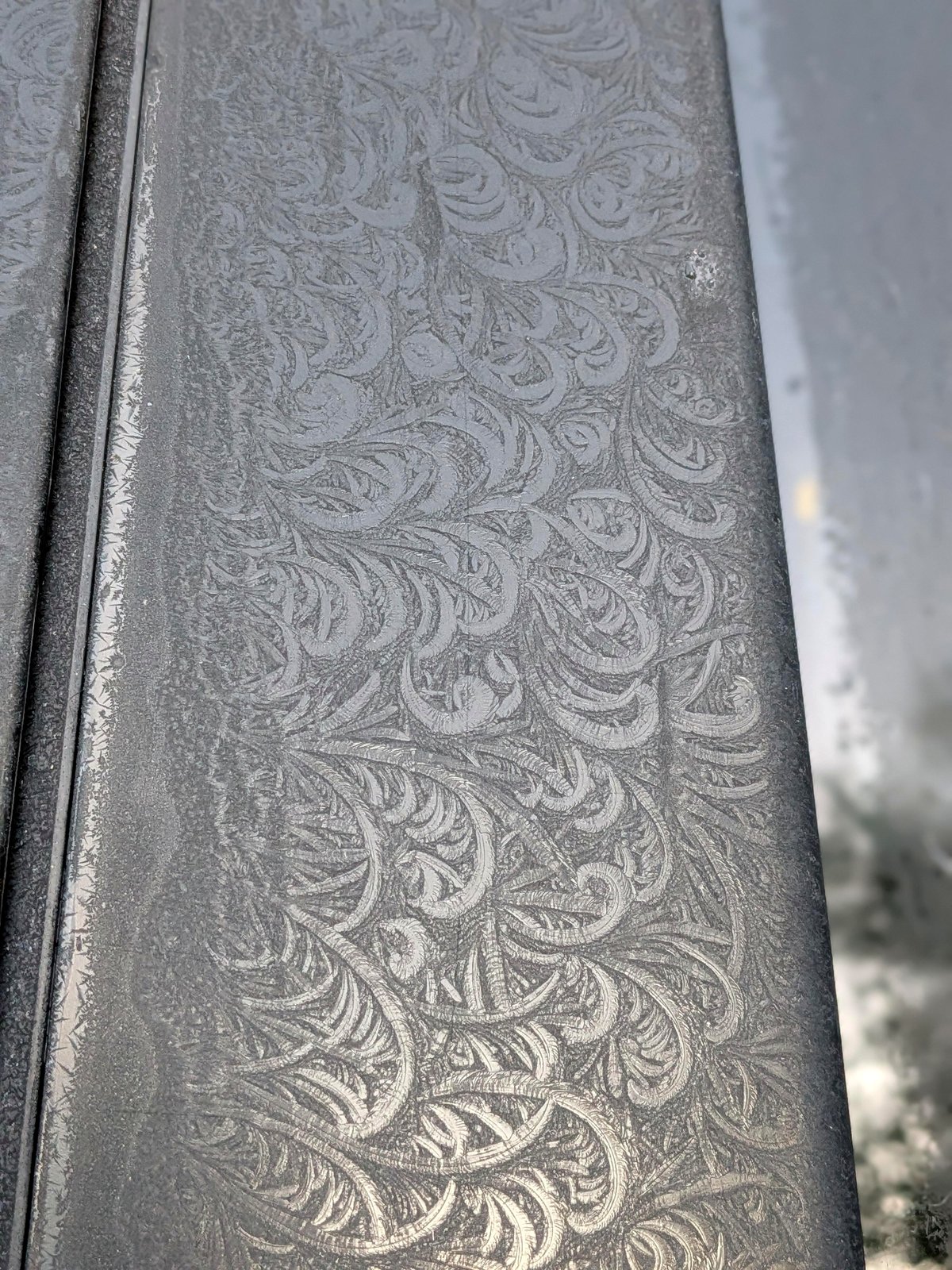 Discover the stunning artwork nature creates on my windshield